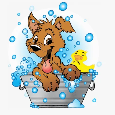Desert Diamonds Mobile Pet Spa — photo from their website