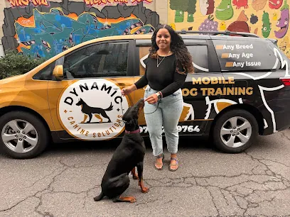 Dynamic Canine Solutions | Expert Mobile Dog Training — photo from their website