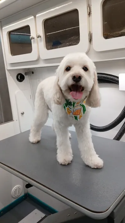 TLC Mobile Pet Grooming-Palm Beach — photo from their website