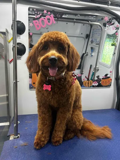 Barkbus Mobile Dog Grooming — photo from their website