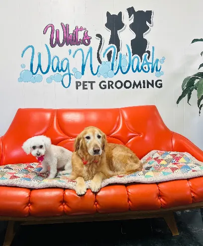 Wash and Wag Mobile Pet Salon — photo from their website