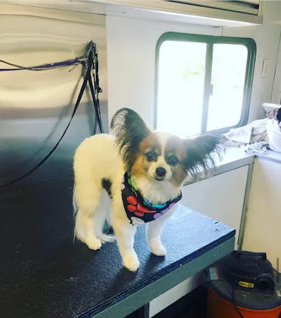 Magical Pretty Pets Mobile — photo from their website