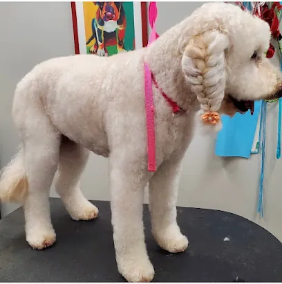 Pawesome Shears Mobile Grooming — photo from their website