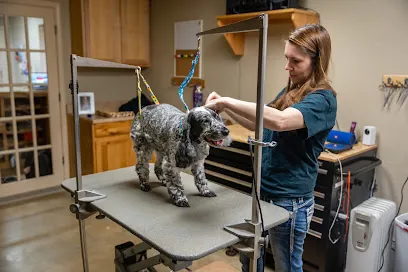 Kitty's Dog Spa | Mobile Dog Grooming — photo from their website