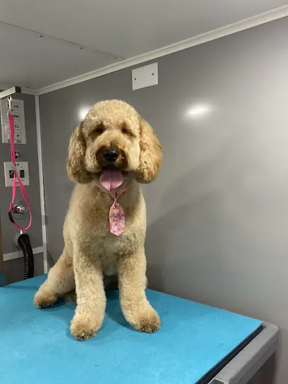 Blue Mobile Grooming — photo from their website