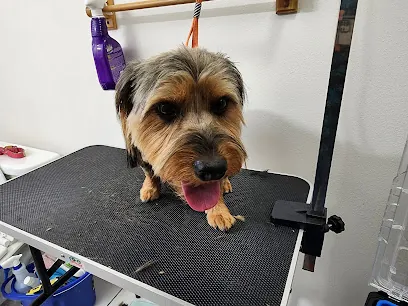 Nicki's Mobile Dog Grooming — photo from their website
