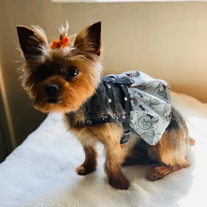 Puppy Momo's Mobile Grooming — photo from their website