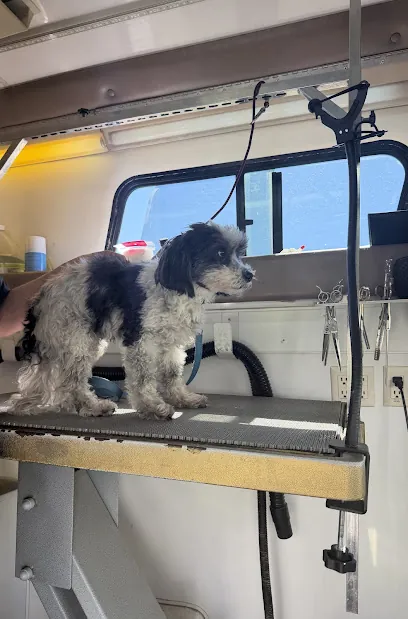 Christas Mobile Grooming — photo from their website