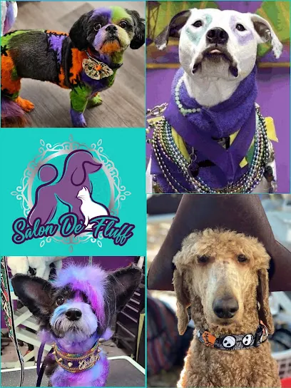 What the fluff mobile pet spa — photo from their website