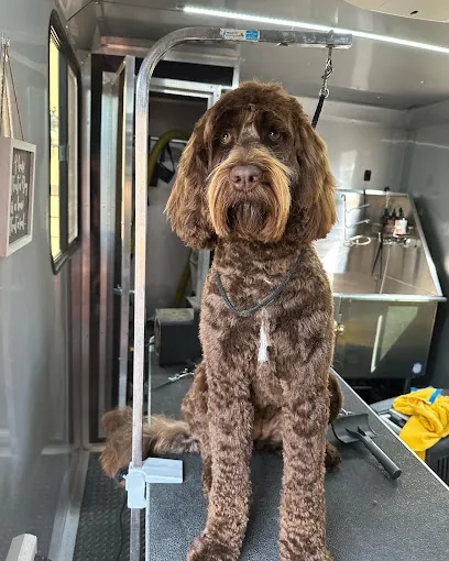 Dogs of Style Grooming Salon - Mobile Services (available) — photo from their website