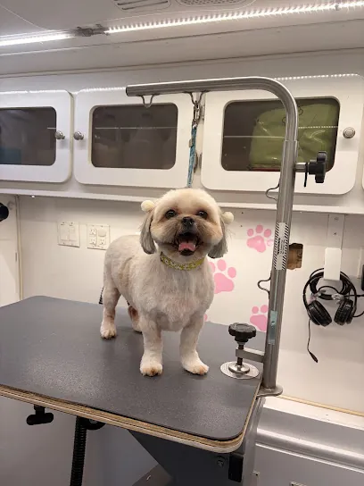Oh Shih Tzu! Mobile Grooming — photo from their website