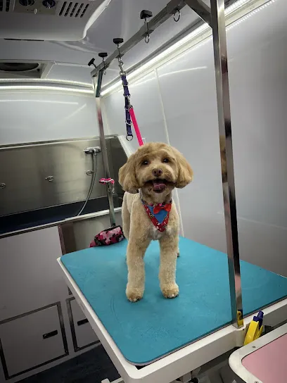 Diamond Dogs Mobile Pet Spa — photo from their website