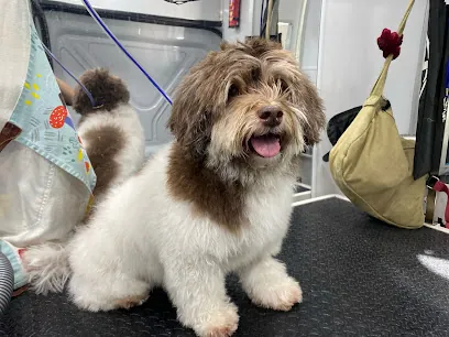 Bark & Bounce Mobile Grooming — photo from their website