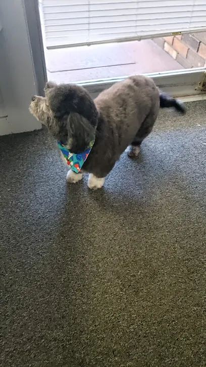 Pet Zone | Grooming Mobile Services LLC. — photo from their website