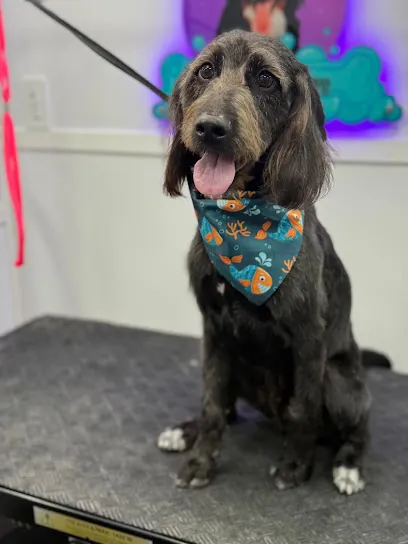 Dog.com Pet Mobile Grooming — photo from their website