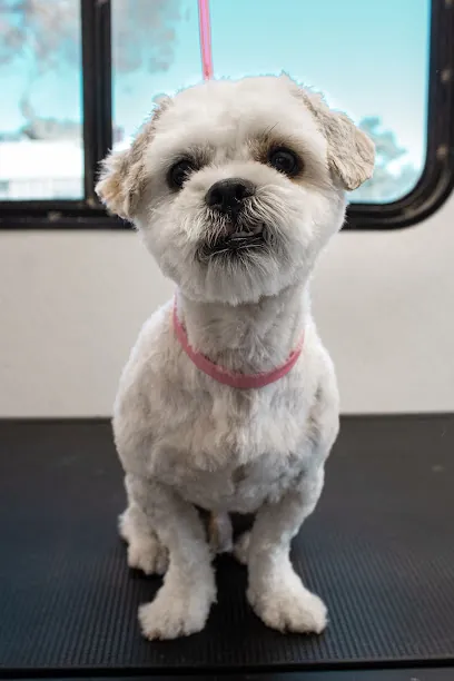 YoteCo Mobile Grooming — photo from their website