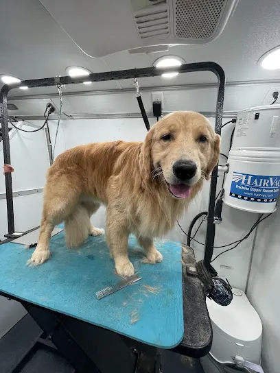 You Dirty Dog Mobile Grooming Spa LLC — photo from their website
