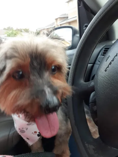 Best Way Mobile Dog Grooming — photo from their website