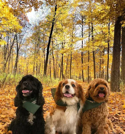 Cruisin Clippers Mobile Dog — photo from their website