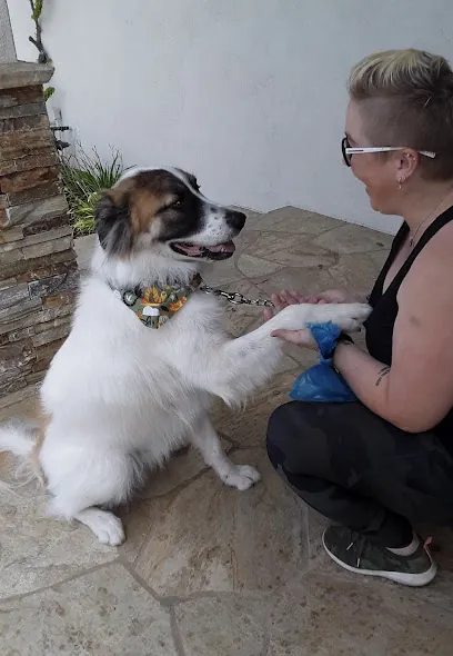 Barks 5th Avenue Mobile Pet Salon — photo from their website