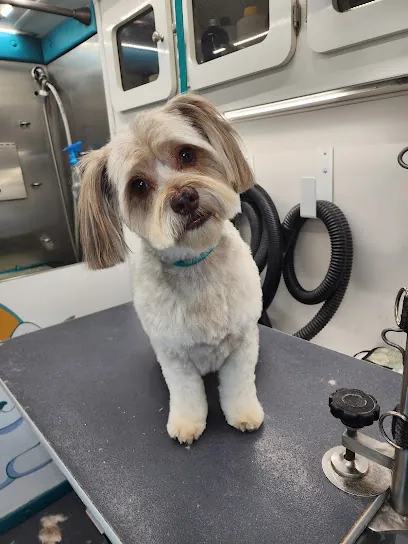 Paw in Hand Mobile Grooming — photo from their website