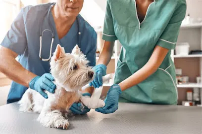 Pup Mobile — photo from their website