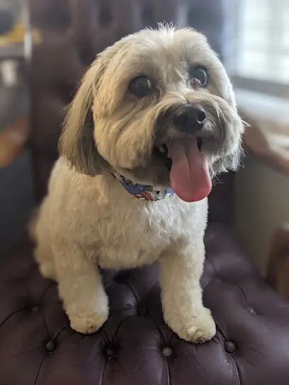 Grooming by Lauren Ltd. — photo from their website