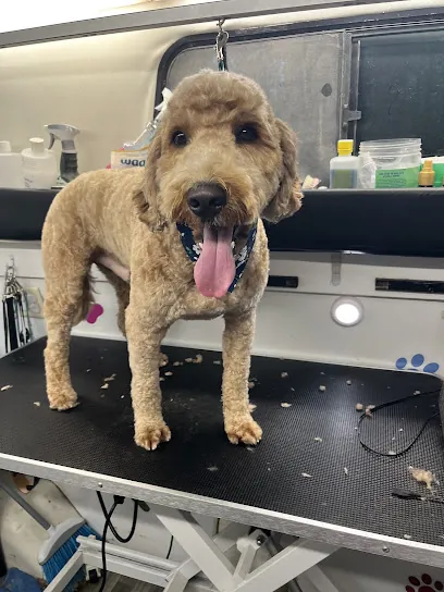 Kawaii K9 Mobile Grooming LLC — photo from their website