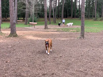 Julien Marx Dog Park @ Medal of Honor Park — photo from their website