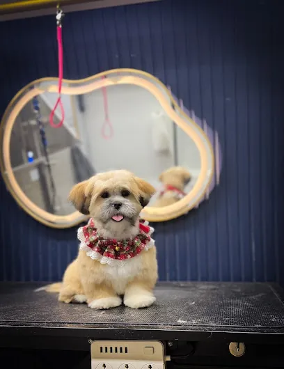 Pawsh Royal Spa -Mobile Pet Grooming — photo from their website