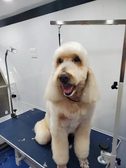 Fresh Paws Mobile Dog Grooming — photo from their website