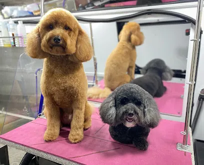 Canine Cleanin' Crew Mobile Pet Grooming — photo from their website