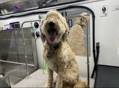 Kontota Mobile Dog Grooming of Katy, TX — photo from their website