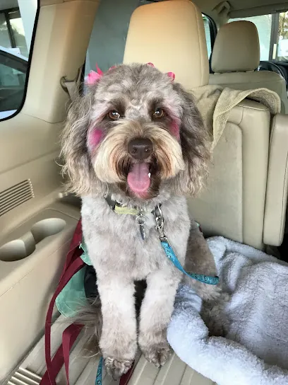 Bekki's Babies mobile pet grooming — photo from their website
