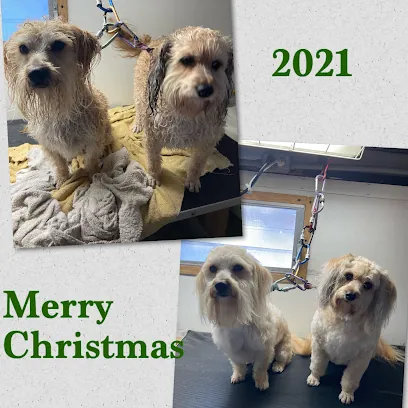 A.A.A. Mobile Pet Grooming — photo from their website