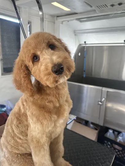 Christina’s Pawtastic Mobile Grooming — photo from their website