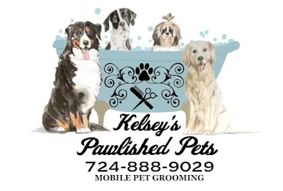 Kelsey's Pawlished Pets - Mobile Pet Grooming — photo from their website