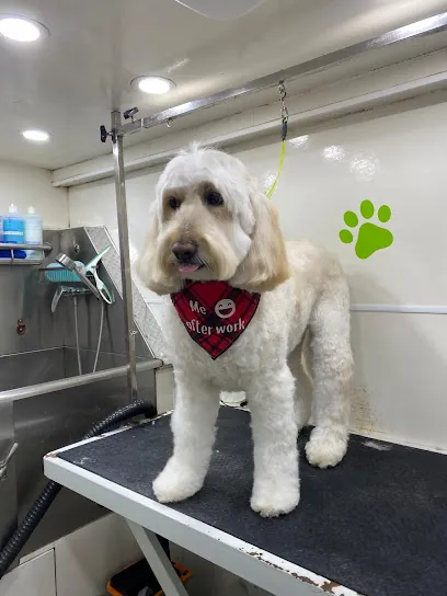 K & M Mobile Pet Grooming — photo from their website