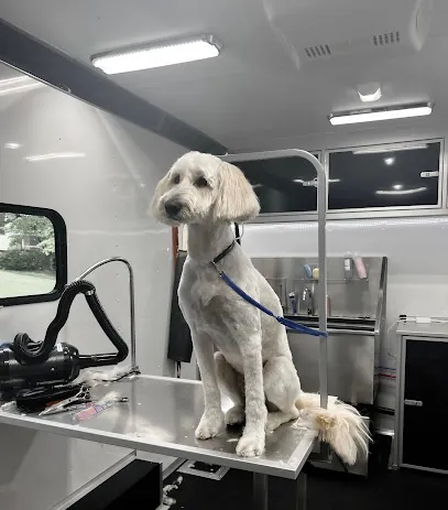 Shiny Paw Mobile Spa — photo from their website