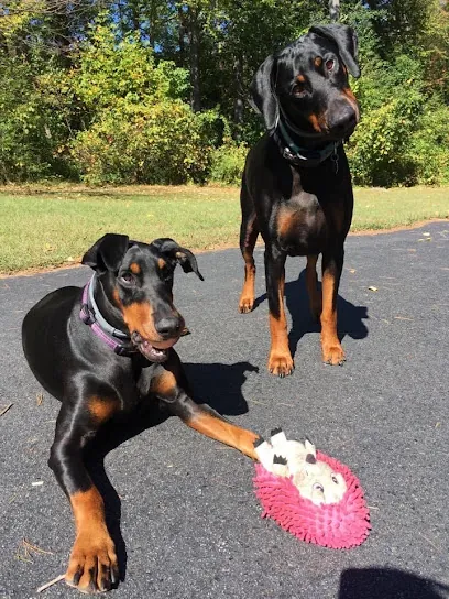 Mobile Pet Services - pet nail trims — photo from their website