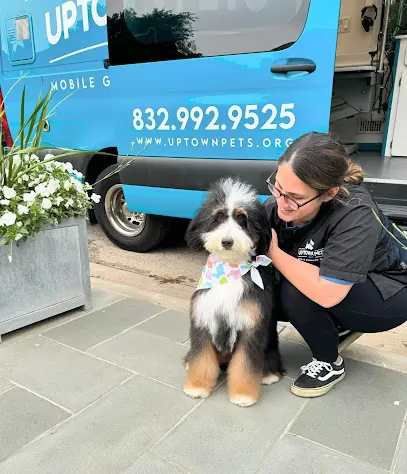 Uptown Pets Mobile Grooming — photo from their website