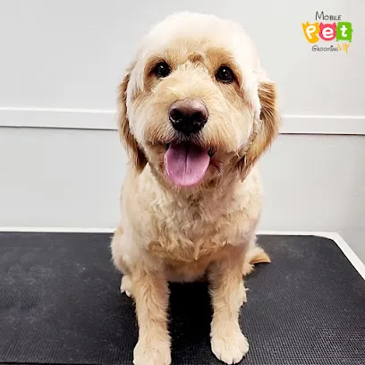 Mobile Pet Grooming VIP Corp — photo from their website