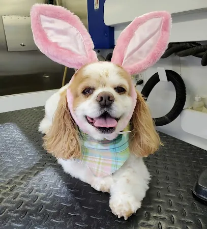 The Pooch Parlor Mobile Pet Salon — photo from their website