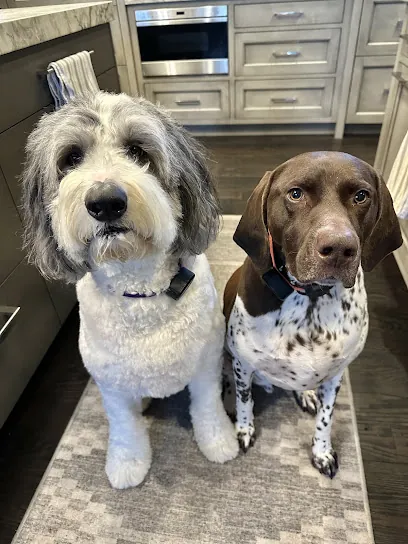 The Mobile DOGG — photo from their website