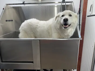 Shelby's Mobile Pet Grooming — photo from their website
