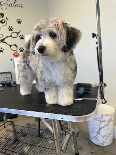 Bark and Boujee House-Call Mobile Grooming — photo from their website