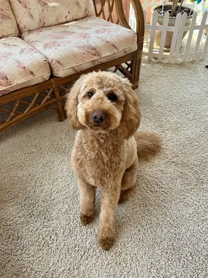 Wright Mobile Grooming — photo from their website