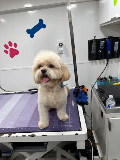 Mobile Pet Grooming Boca Raton — photo from their website