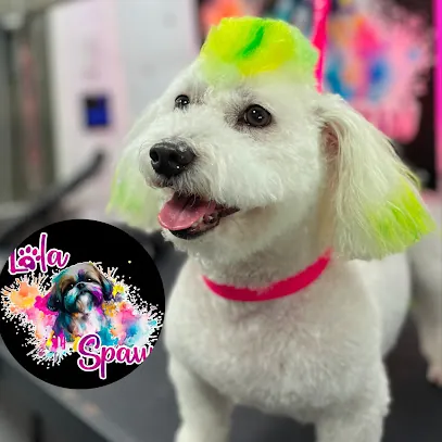 Lola Spaw Mobile Pet Grooming — photo from their website