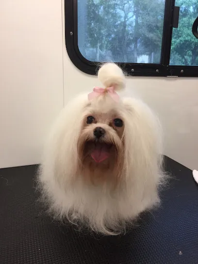 Sudz N Studz Mobile Pet Grooming — photo from their website
